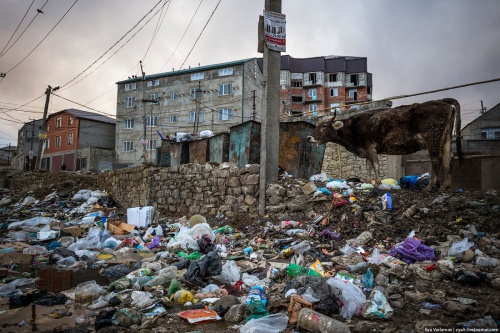 В столице Дагестана творится настоящий мусорный хаос