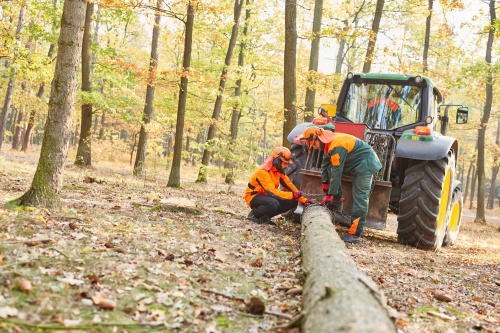 Сотрудники красноярской лесопромышленной компании отсудили у работодателя 850 000 рублей
