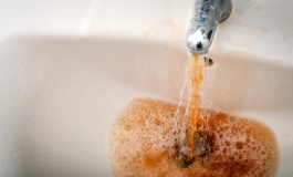 ������ ������ ������� ����� 10 ����� ������ �� ���� ��� ������� ����