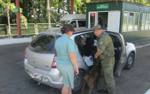 Курские таможенники задержали россиянку за контрабанду запрещенного препарата