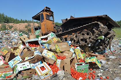 За год в России уничтожили 8,2 тысячи тонн санкционных продуктов
