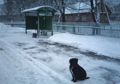 В Екатеринбурге маленькую девочку выгнали из автобуса на лютый мороз