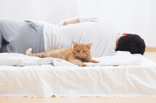 Уволили больного. Что делать, когда работодатель нарушил ваши права Уволили больного. Что делать, когда работодатель нарушил ваши права