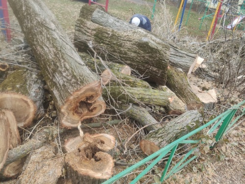 ������, ���, ������. � ���������� ������� ������ ��������� �������� �� ���� �� ������� ��������