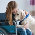 Досрочная пенсия и собаки-помощники. В Госдуме предложили поддержать инвалидов и их родственников