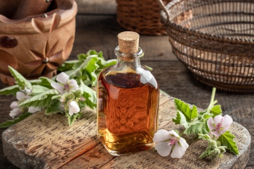 �����: ��� ��������� �������� ������ � ������