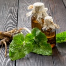 Фурункулы и нарывы: лечение травами