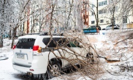 ����� ������� ������: ���������� �����