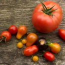 Тепличные помидоры: секреты ухода и урожайности