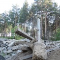 Столетние сосны завалили мусором в Новосибирске