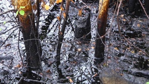 Под Усинском произошел разлив нефти