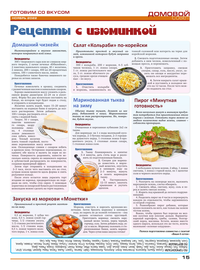 страница №15