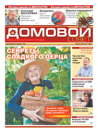 страница №1