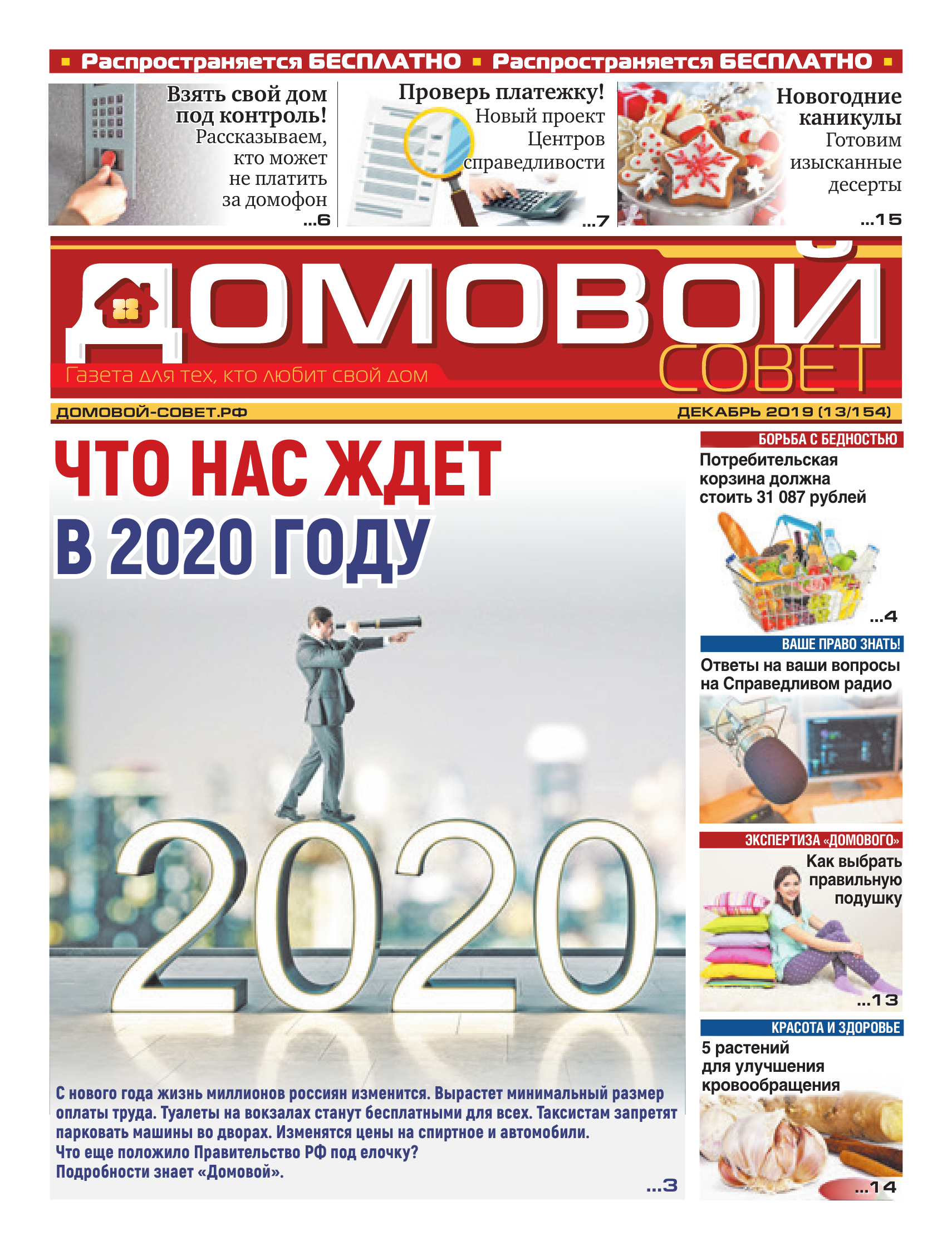 Домовой Совет. Выпуск 80. Декабрь 2019 | Интернет-версия газеты 