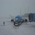Мощный снегопад «задержал» более 30 авиарейсов в Москве