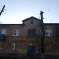 В Волгограде ЖЭК отказывался кронировать деревья во дворе