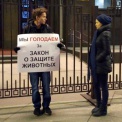 У Госдумы задержали голодавших зоозащитников