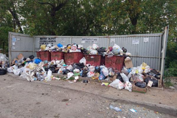 Здесь будет свалка. В Благовещенске ЖЭК почти месяц не вывозил мусор со двора жилого дома Здесь будет свалка. В Благовещенске ЖЭК почти месяц не вывозил мусор со двора жилого дома